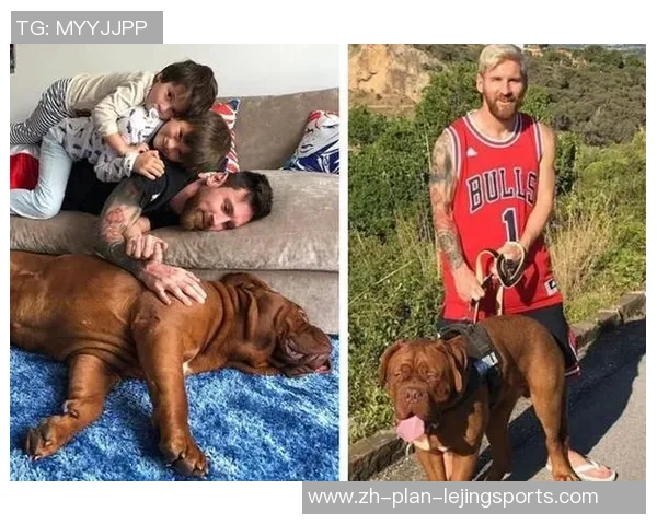 驯养足球狗的秘诀与技巧让你的爱犬成为场上明星